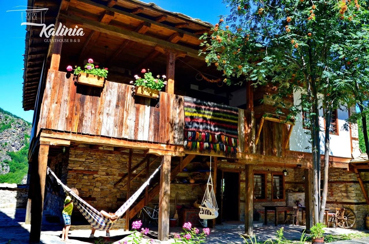 Отели типа «постель и завтрак» Kalinia Guesthouse B&B Ковачевица-4