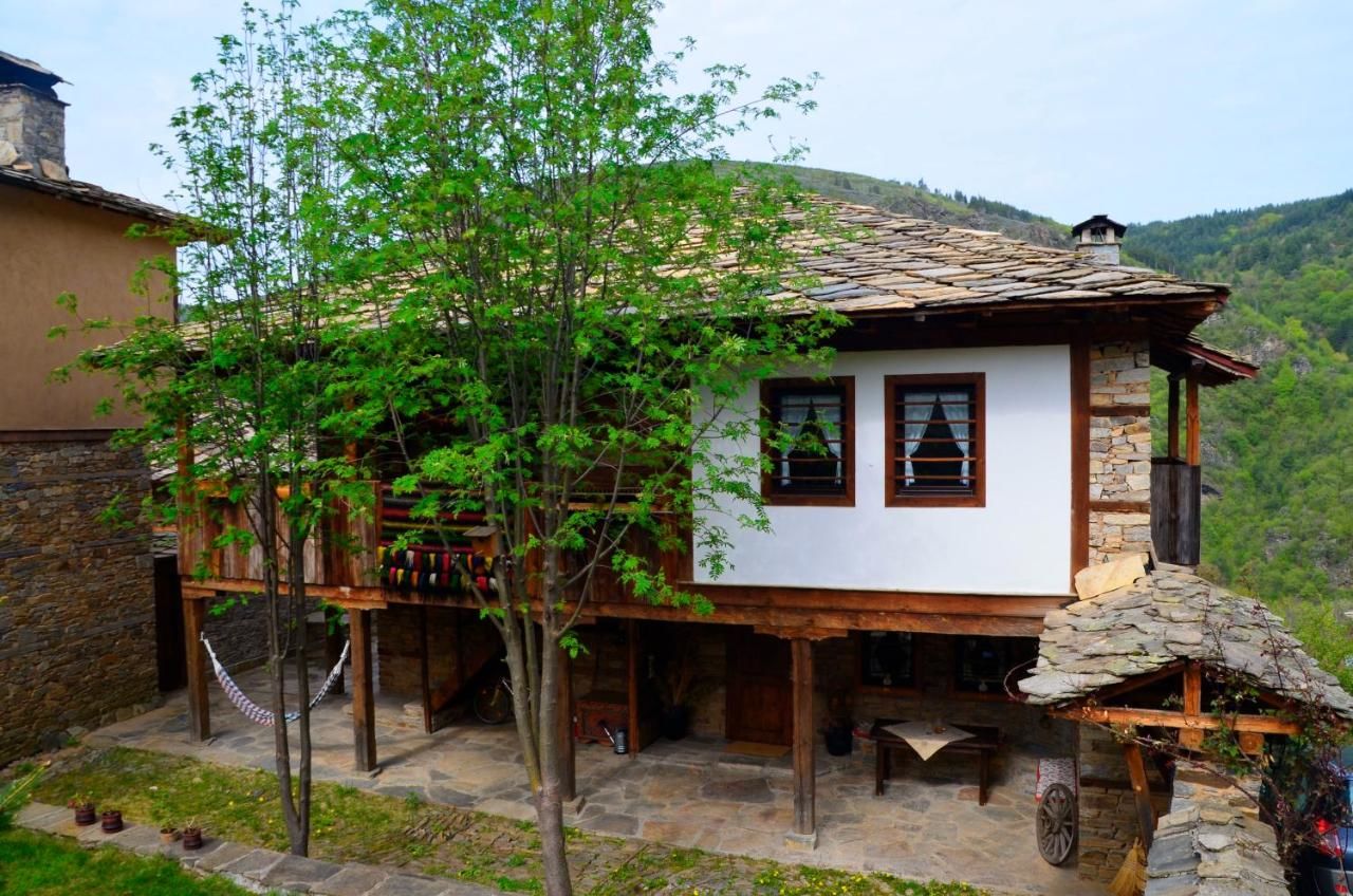 Отели типа «постель и завтрак» Kalinia Guesthouse B&B Ковачевица-14