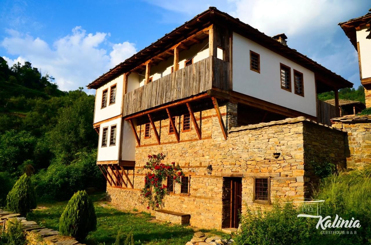 Отели типа «постель и завтрак» Kalinia Guesthouse B&B Ковачевица-23