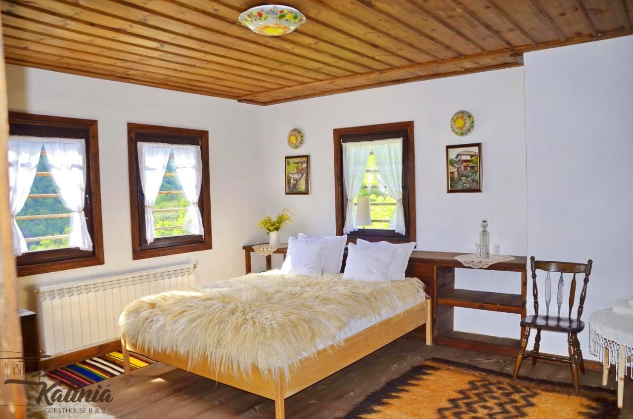 Отели типа «постель и завтрак» Kalinia Guesthouse B&B Ковачевица-8